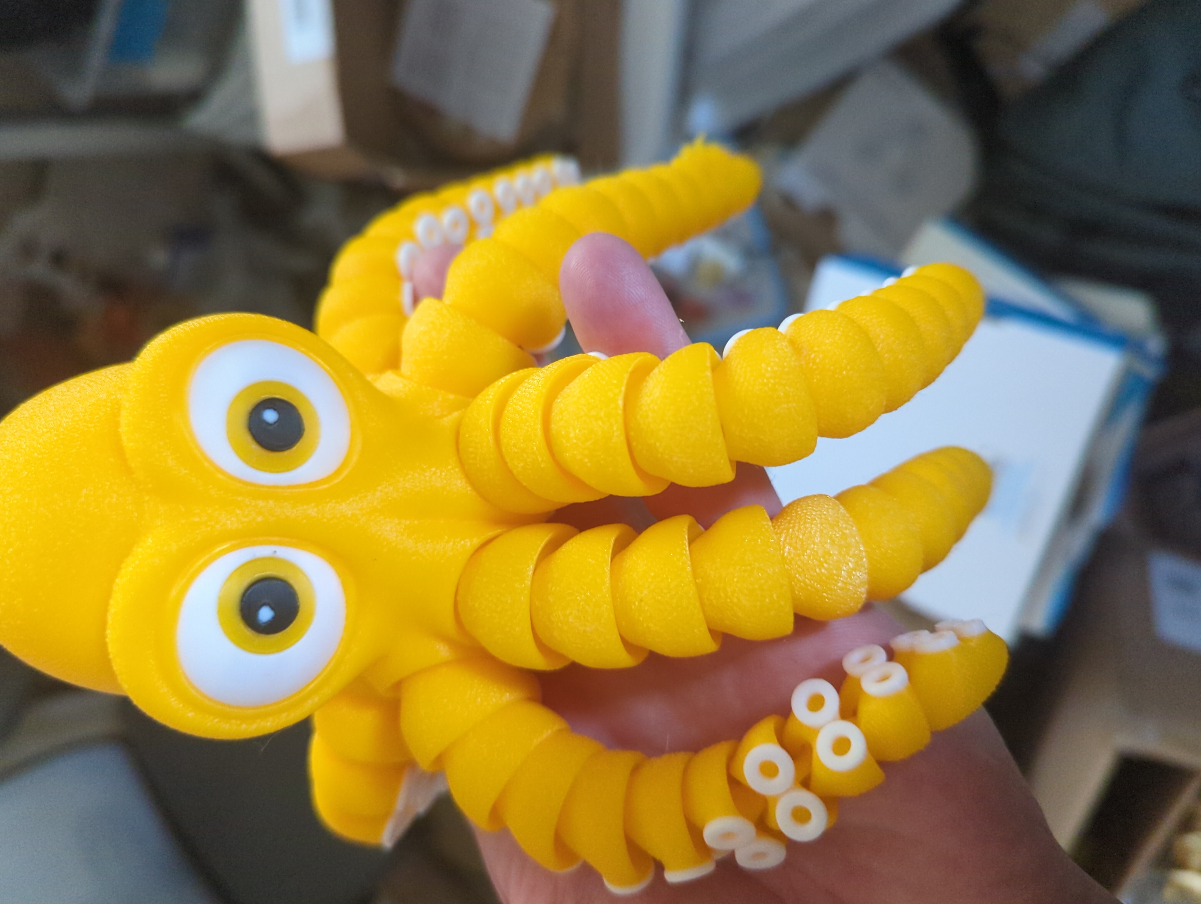 large Octo