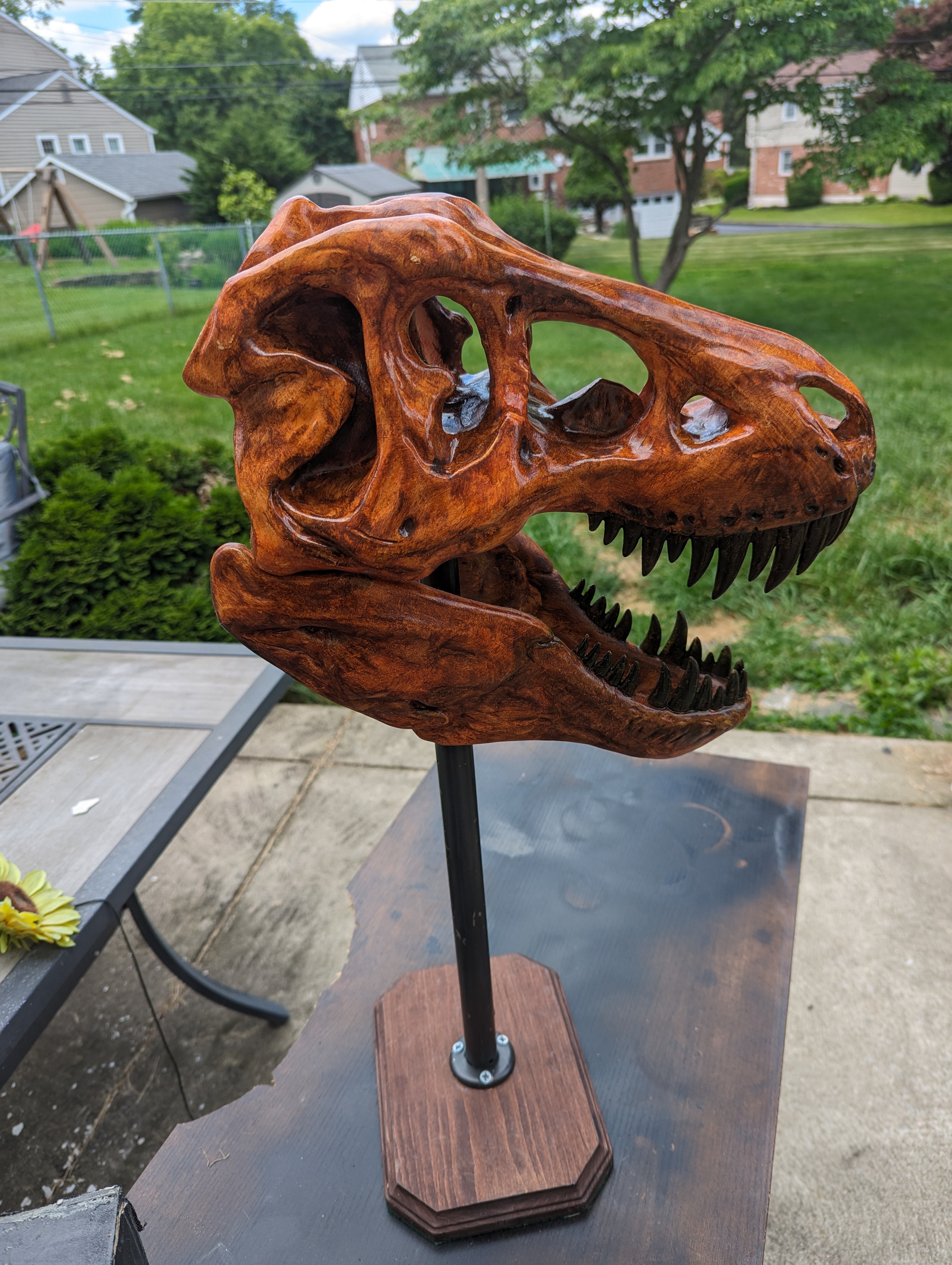 Historic Trex